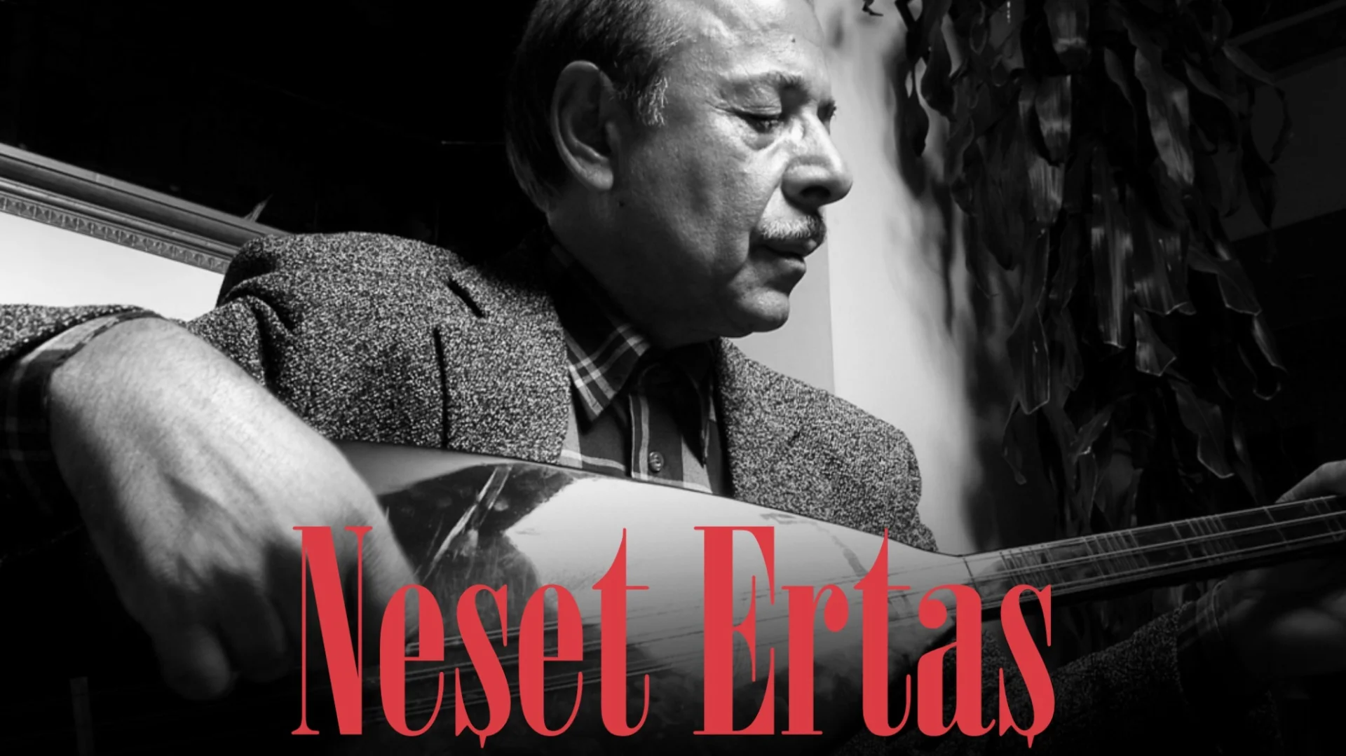 Neşet Ertaş Anma Konseri