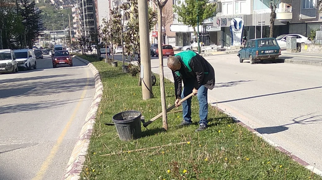 Yenişehir Caddesi