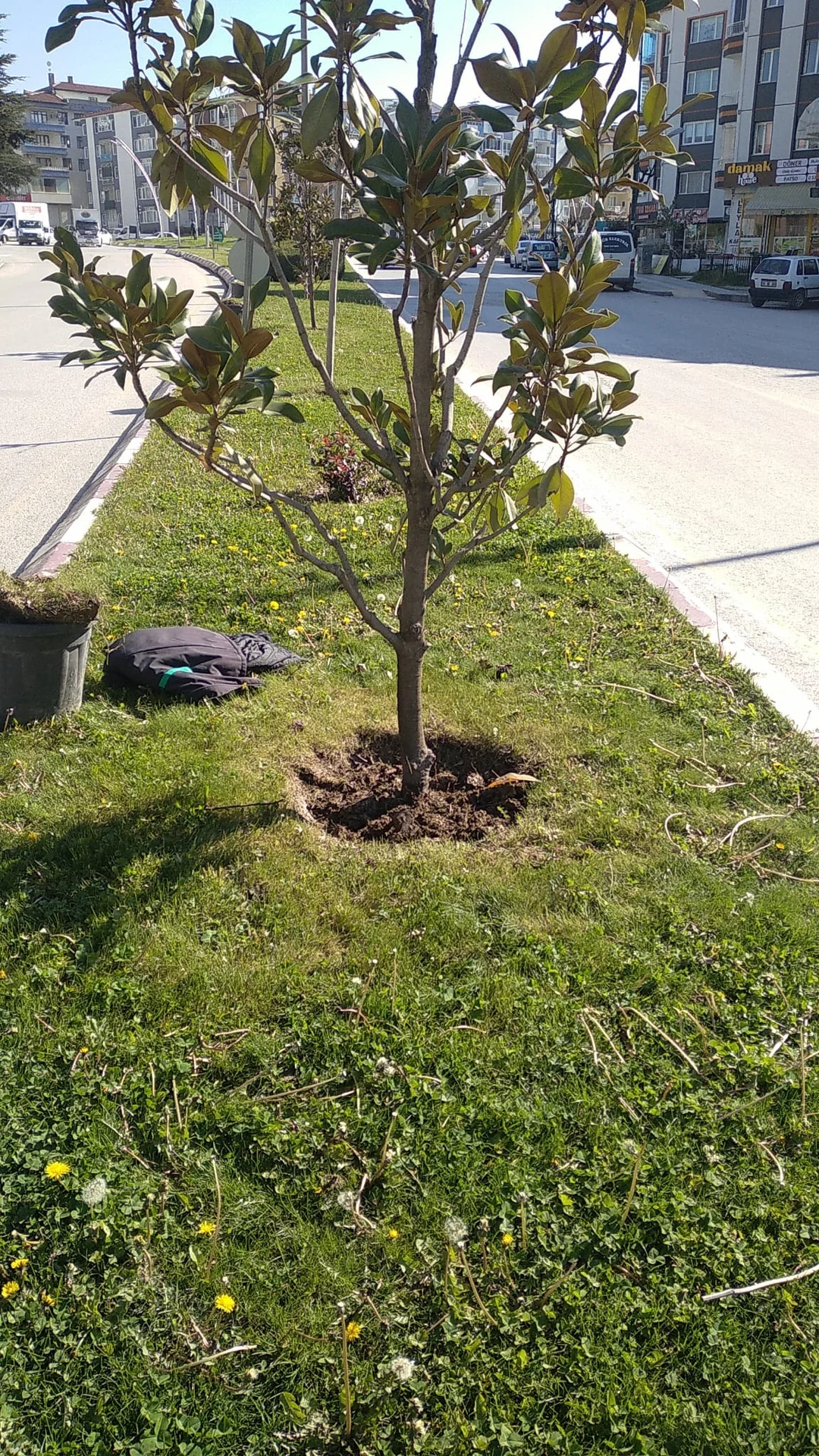 Yenişehir Caddesi - Görsel 1