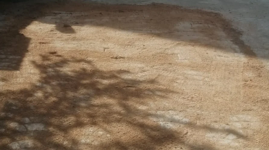 Kaldırım ve Parke Çalışması