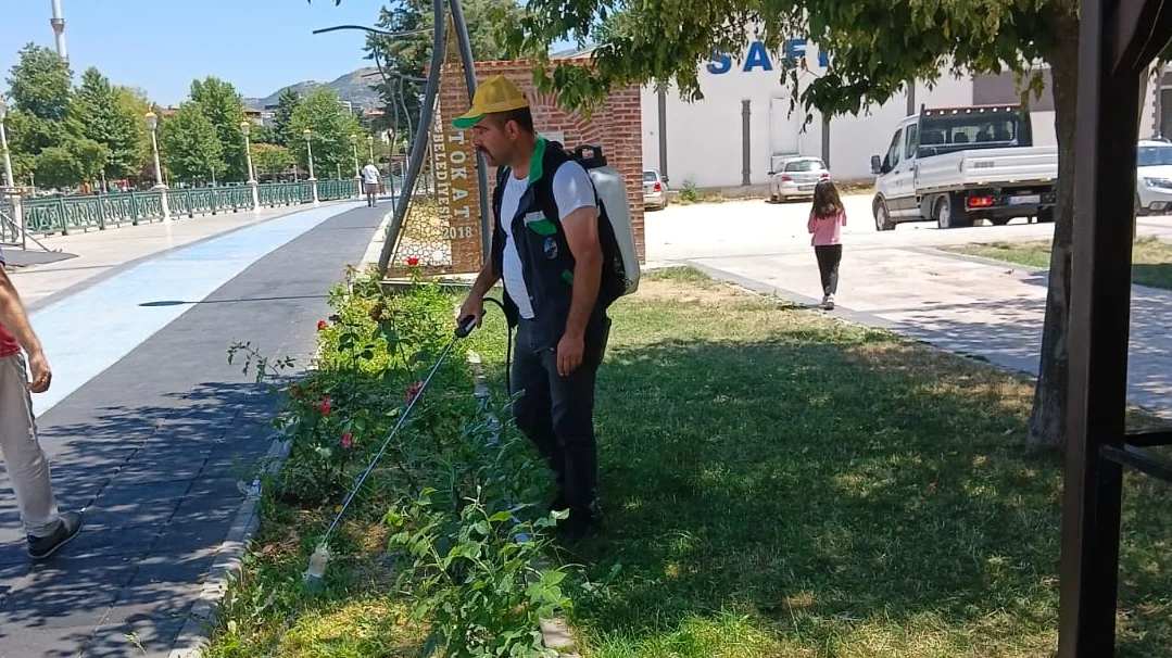 Ot ilacı uygulama çalışmaları 