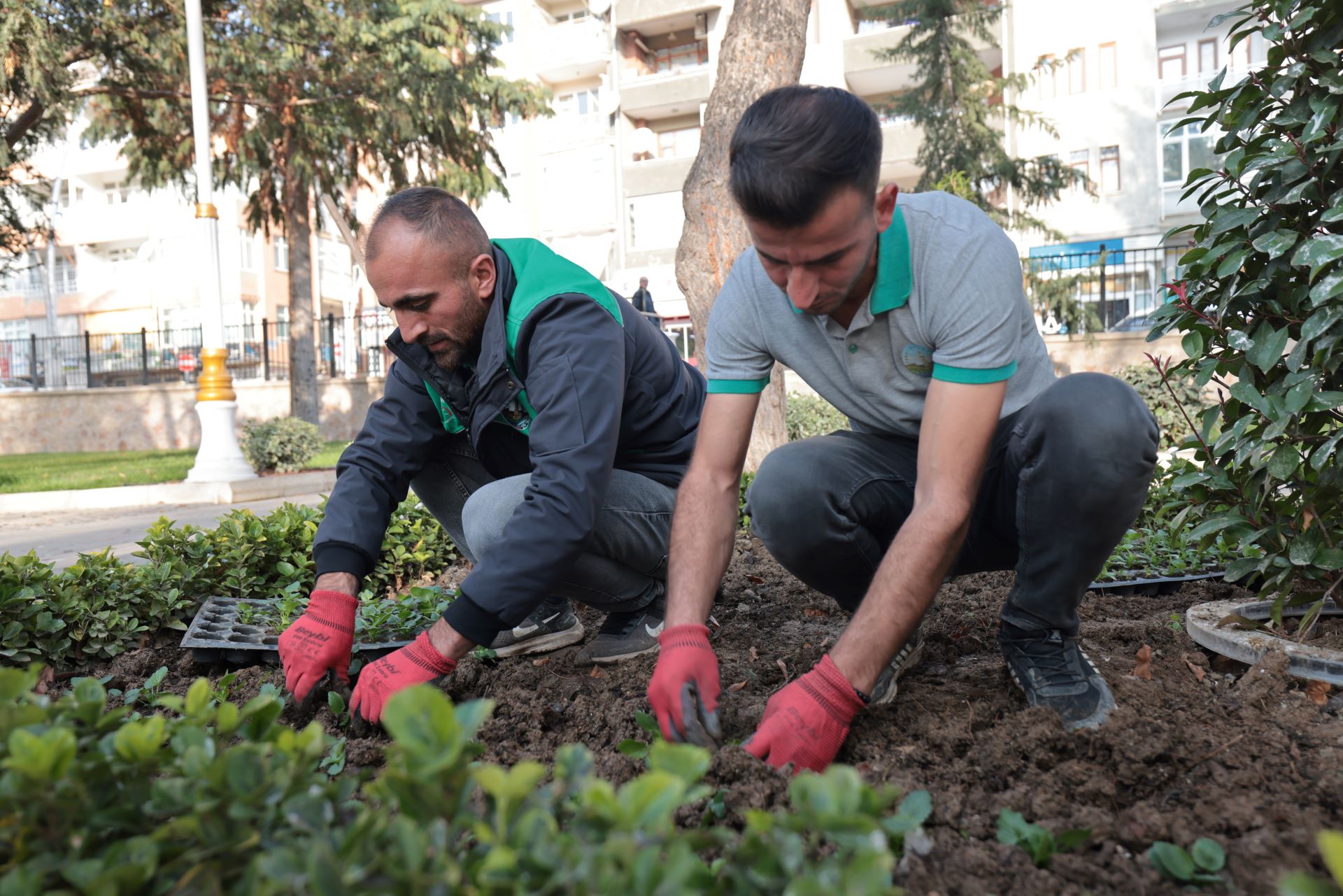 PARK VE BAHÇELER ŞEHRİN HER NOKTASINDA KESİNTİSİZ ÇALIŞMA DEVAM EDİYOR