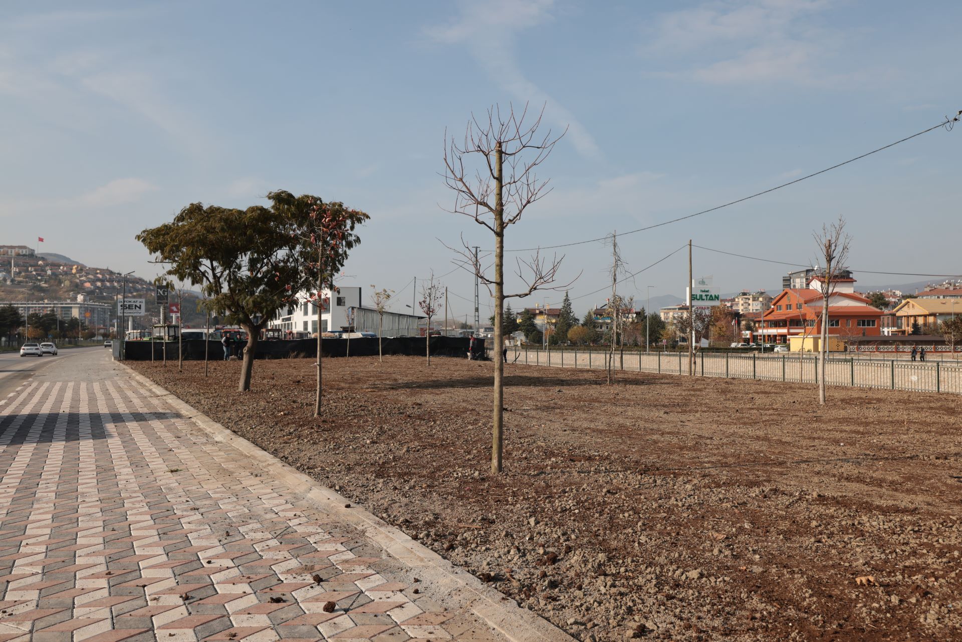 PARK VE BAHÇELER ŞEHRİN HER NOKTASINDA KESİNTİSİZ ÇALIŞMA DEVAM EDİYOR - Görsel 6