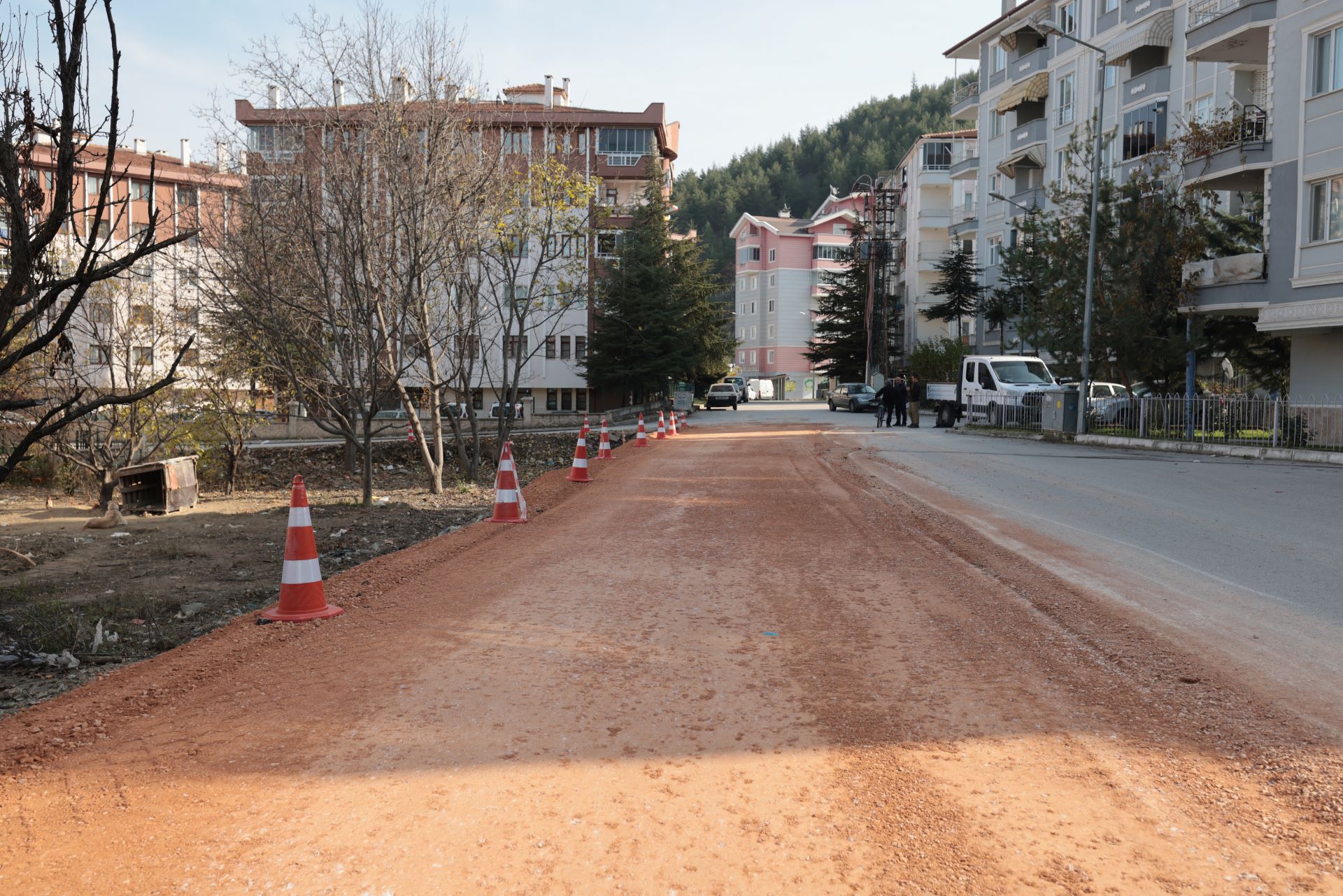 PARK VE BAHÇELER ŞEHRİN HER NOKTASINDA KESİNTİSİZ ÇALIŞMA DEVAM EDİYOR - Görsel 10