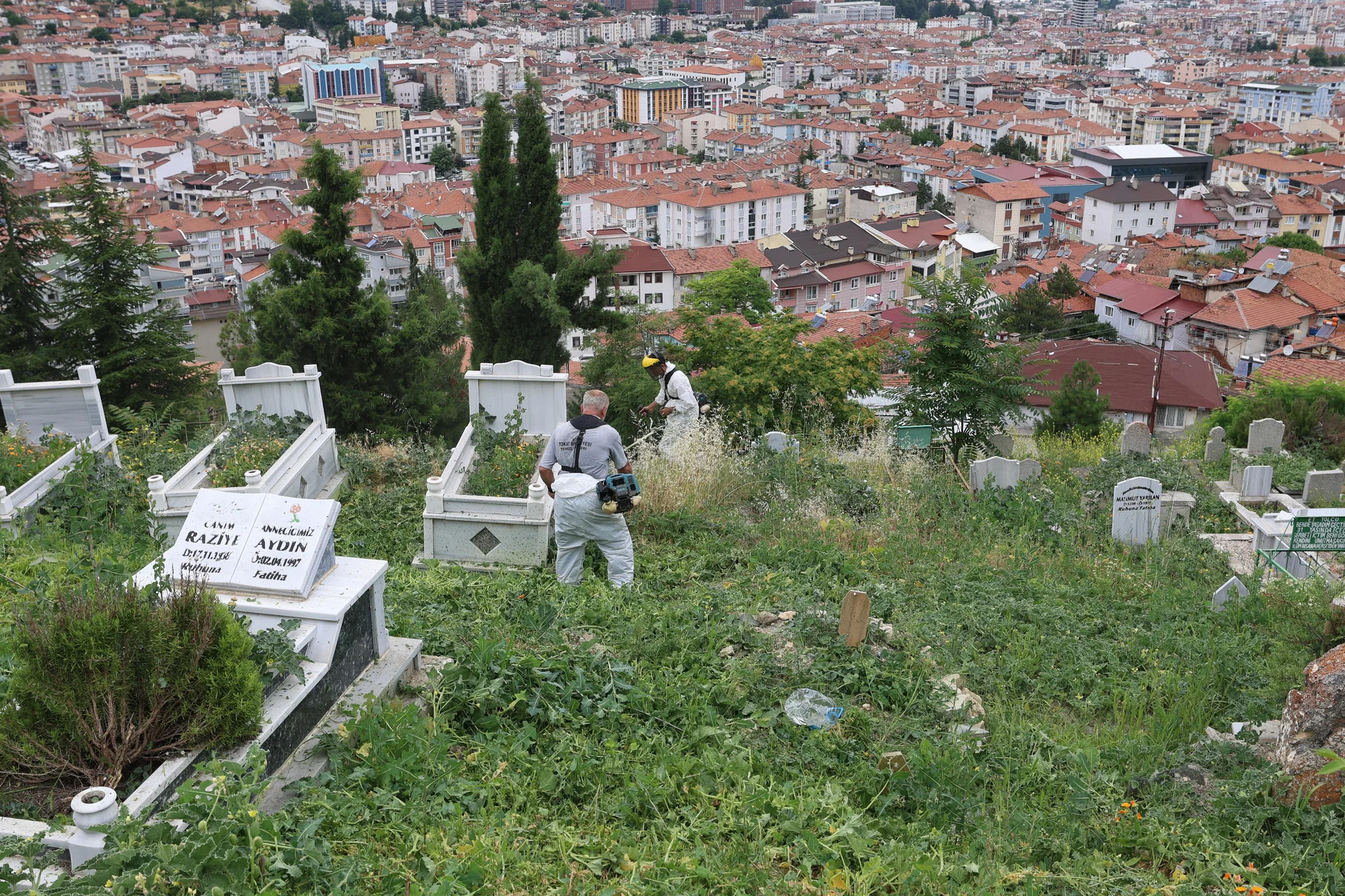 MEZARLIKLARDA YAZ BAKIMI VE TEMİZLİK ÇALIŞMALARI ARALIKSIZ SÜRÜYOR - Görsel 2