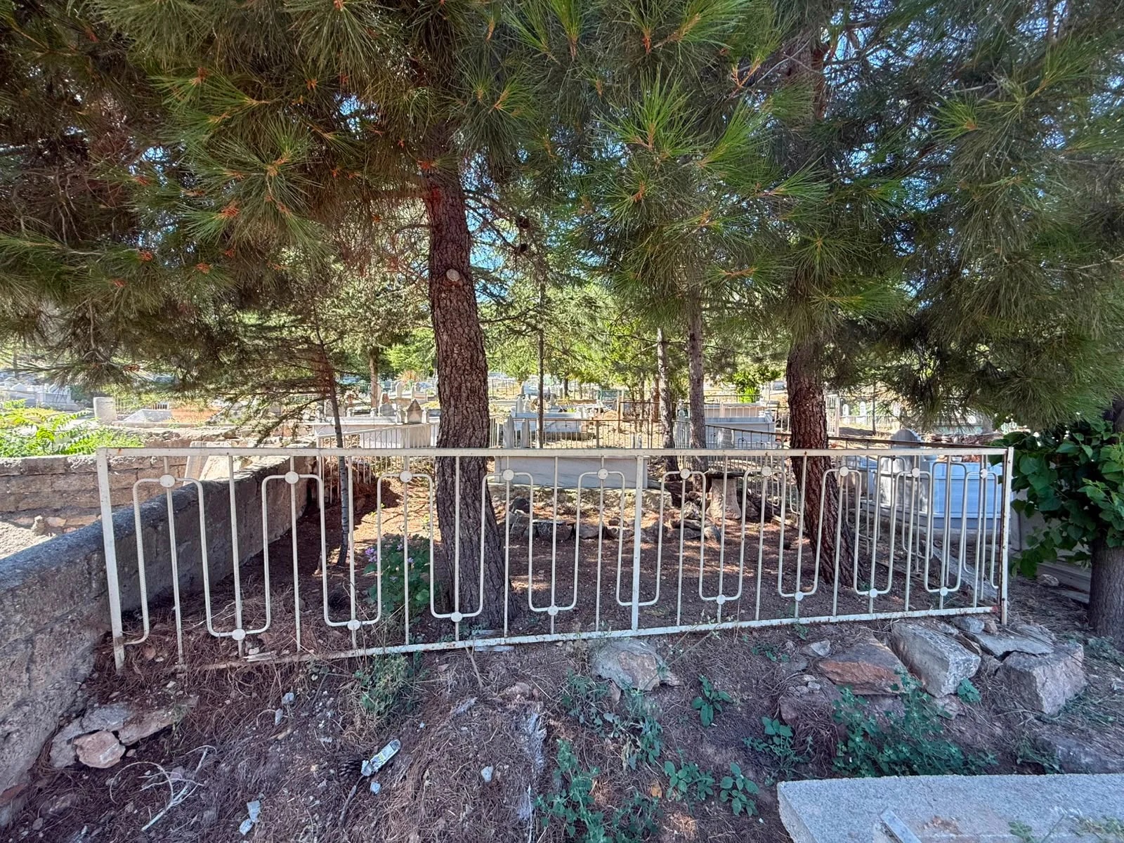 TOKAT BELEDİYESİ'NDEN MEZARLIKLARDA DÜZENLEME ÇAĞRISI - Görsel 5
